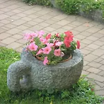 Giorni Felici Tutto Nuovo, Giardino, Park E Bikepark *